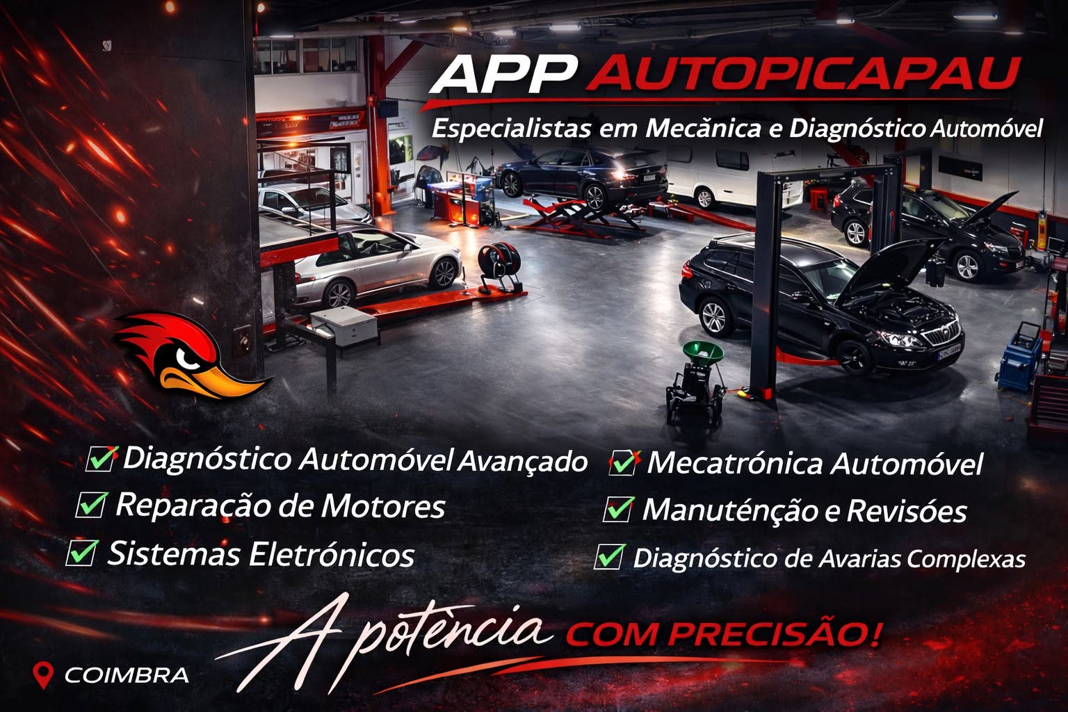 Bem vindo à Auto Pica-pau